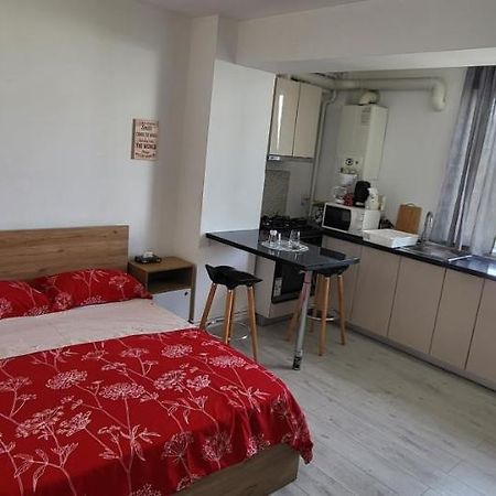 Self Check-In Studio 22 Bulevardul Oltenia 크라이오바 외부 사진