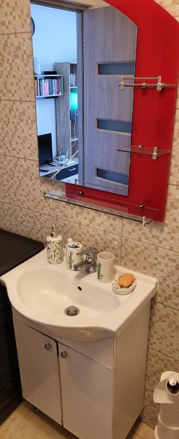 Self Check-In Studio 22 Bulevardul Oltenia 크라이오바 외부 사진