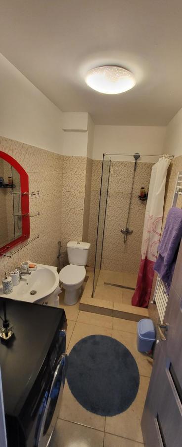 Self Check-In Studio 22 Bulevardul Oltenia 크라이오바 외부 사진